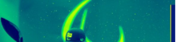 Inscrições abertas para curso de Bases da Canoagem