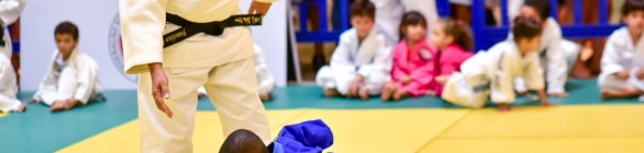 Festival de Artes Marciais