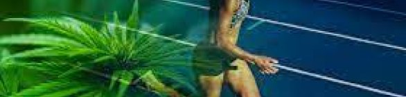 Cannabis: NBA libera uso para atletas