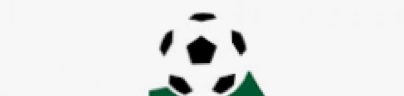 Vencedores da Grande Final da Taça da Favelas 2023