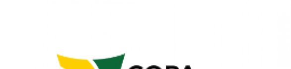 Bahia sedia pela terceira vez a Copa AFIA Brasil em 2024