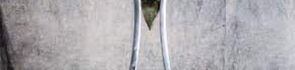 Edição 2024 do Brasileiro feminino começa no dia 15 de março