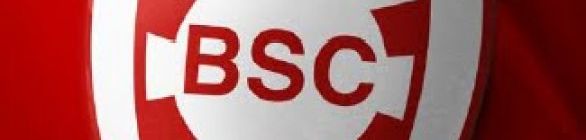 Vamos comemorar o retorno do glorioso Botafogo a elite do futebol baiano