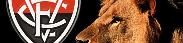 Vitória mostra falhas e  decepciona, de novo !  