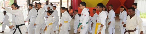 Workshop da Escola Aberta Artes Marciais
