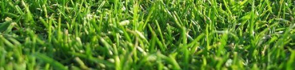 Bahia pode ampliar o número de Centros Oficiais de Treinamento (CTS) na Copa do 