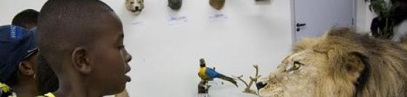 Alunos da Escolinha de Esportes da Sudesb visitam laboratórios de anatomia de un