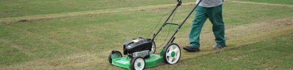 Gramado de Pituaçu está recebendo um corte para atender exigências da FIFA