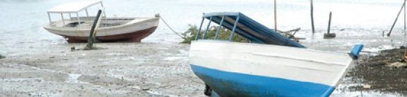 Pescadores acusam Petrobras de prejudicar a pesca em duas ilhas