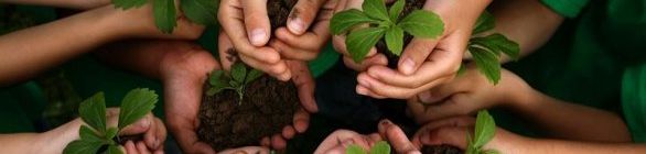 Bahia recebe workshop de emissões de gases de efeito estufa para a Copa do Mundo