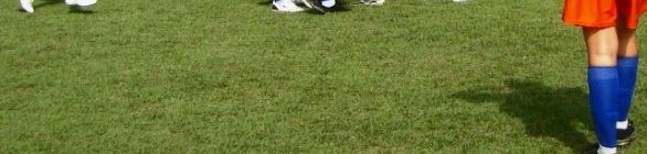 Documentação referente aa campeonato da AFPEB/2014 categoria Sênior  