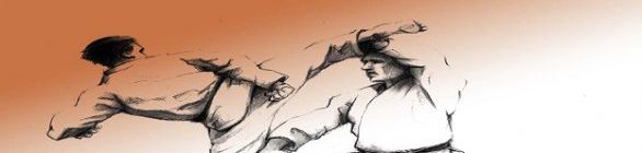 Atletas franciscanos participam do 18º Campeonato Brasileiro de Karatê