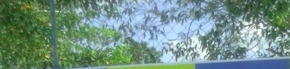  EQUIPE RUBRO NEGRA BEM CLASSIFICADA NO CIRCUITO TOBIENSE EM SERGIPE