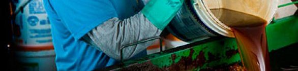 Petrobras Biocombustível amplia uso do óleo de cozinha como matéria-prima