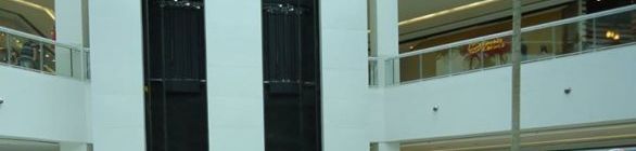 Evento de mma no suburbio 