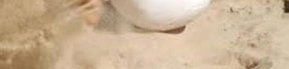 Ilha de Maré venceu final do Campeonato de Futebol de Areia do Caípe de Baixo