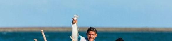 Pesca Solidária ajuda a preservar espécies ameaçadas de extinção