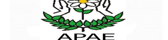 Comitê paralímpico brasileiro indica alunos 