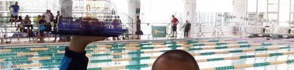 GNU É CAMPEÃO SUL BRASILEIRO MASTER DE NATAÇÃO   