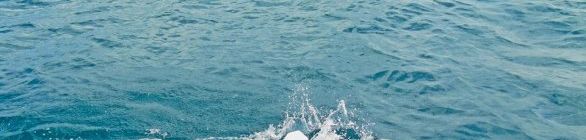 EDUARDA JORGE DISPUTA VI ETAPA DO CAMPEONATO BAIANO DE MARATONAS AQUÁTICAS