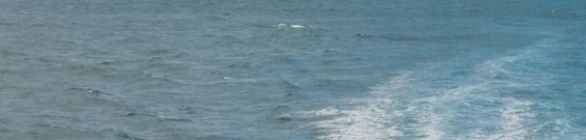 8ª edição do Rally Náutico da Bahia acontece dia 26 de novembro 