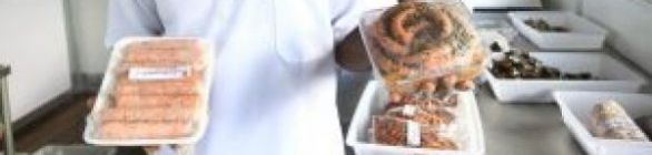 Fábrica de conservas ajuda na renda de marisqueiras e pescadores baianos