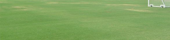 Gramado de Pituaçu está pronto para receber os jogos do Baianão